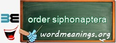 WordMeaning blackboard for order siphonaptera